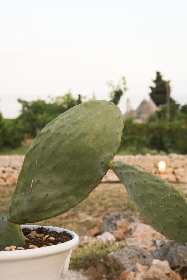 Enjoytrulli - Countryside Βίλα Νότσι Εξωτερικό φωτογραφία