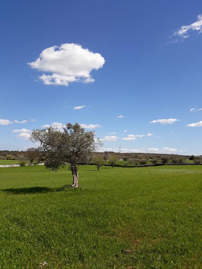 Enjoytrulli - Countryside Βίλα Νότσι Εξωτερικό φωτογραφία
